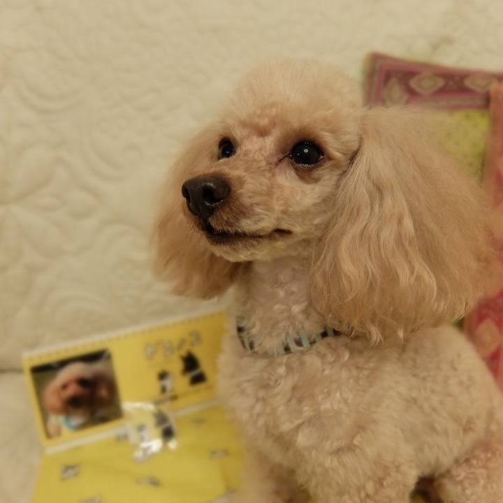 B37d6d96 7542 4f64 b7da a4f9ecaa327c