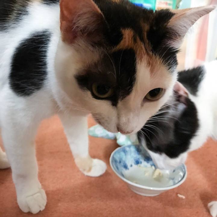 B37dc536 a408 4c99 946d 16039c87f186