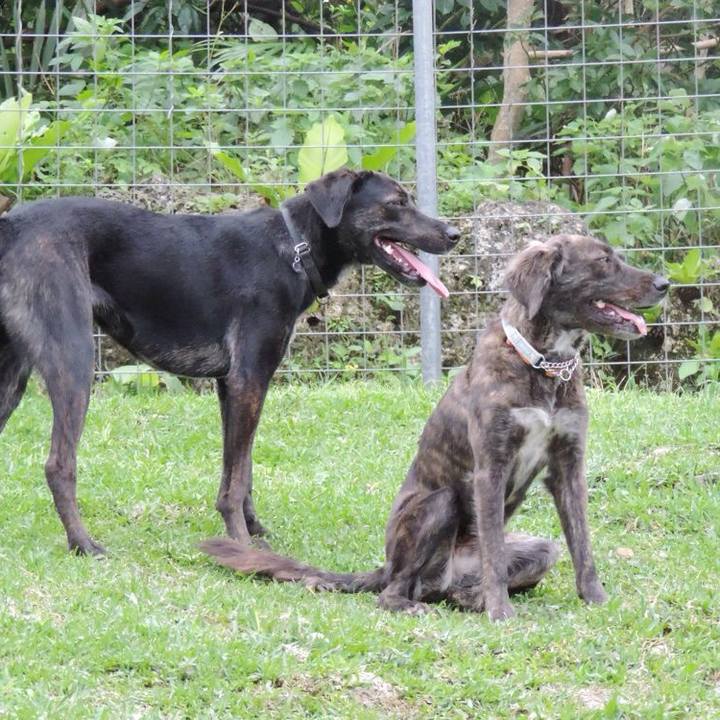 B37dca78 9eb2 4cb4 a44a 21afaa4a482e