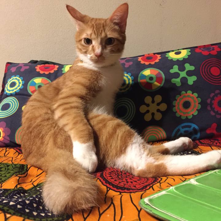 B37dd0ce 6f80 4a24 a5dc db552202149f