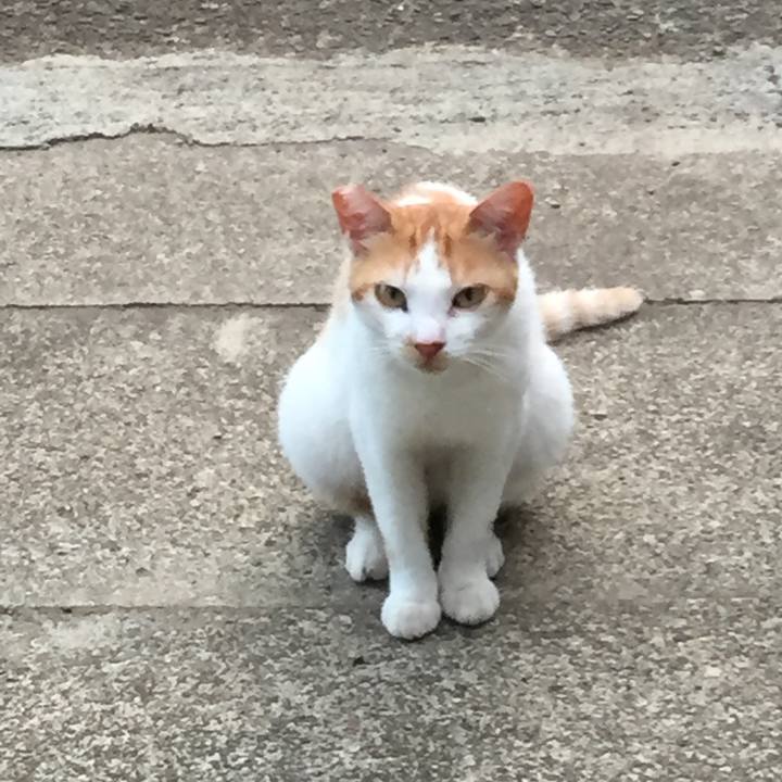 B37defd7 2807 4b22 8799 515ea3362da9