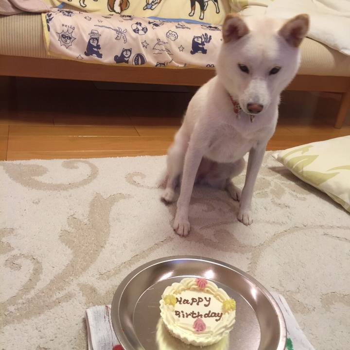 B37e54ea bd21 4007 ab3a 4998e6af5967