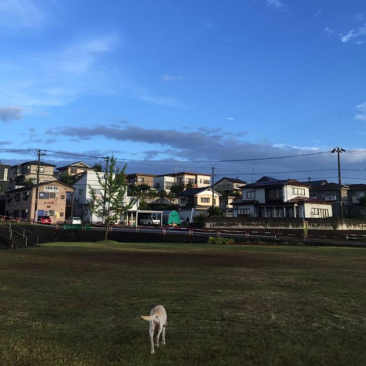 B37f2a0a 5f75 490c a623 738d4000693d