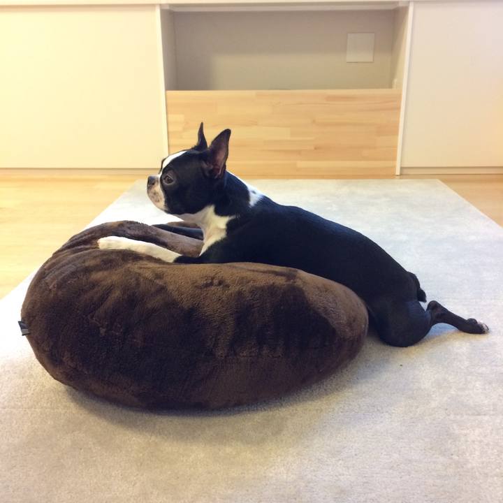 B37fa950 9af8 42bc bbdb 1609817b82e8