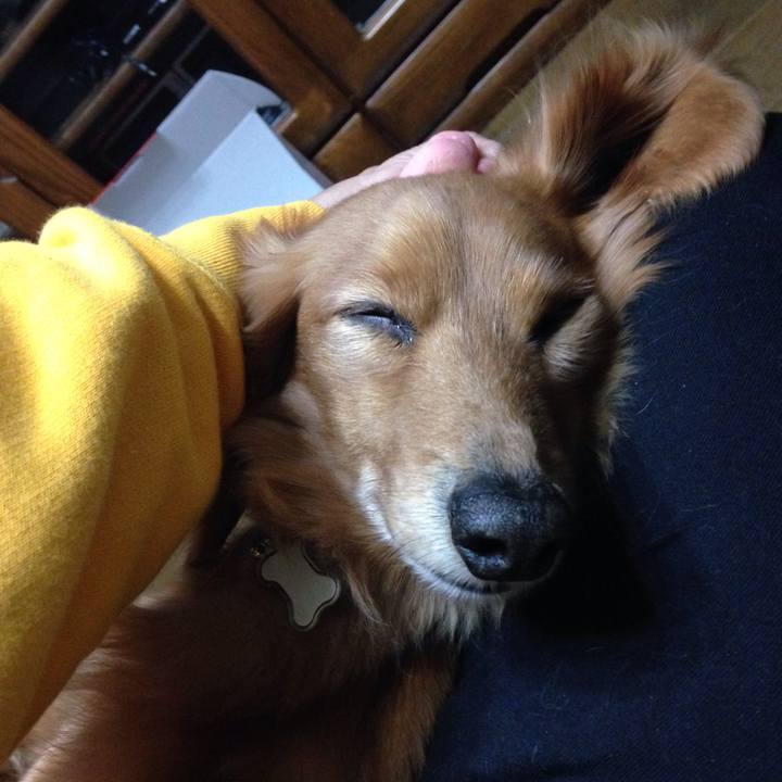 B380056e 744d 491f 9e9b 1cff3b19d3c9