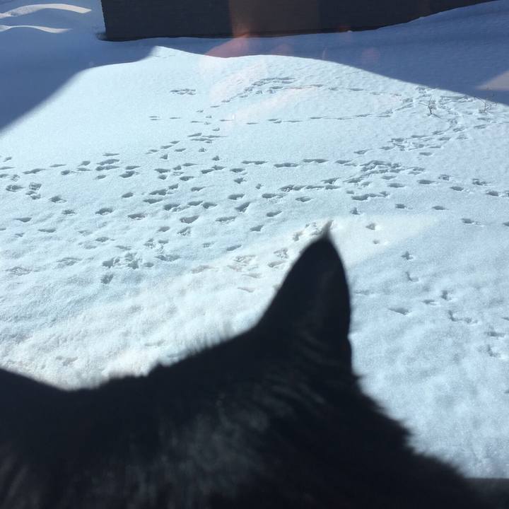 B3808af6 043e 45b6 a321 38515602b388