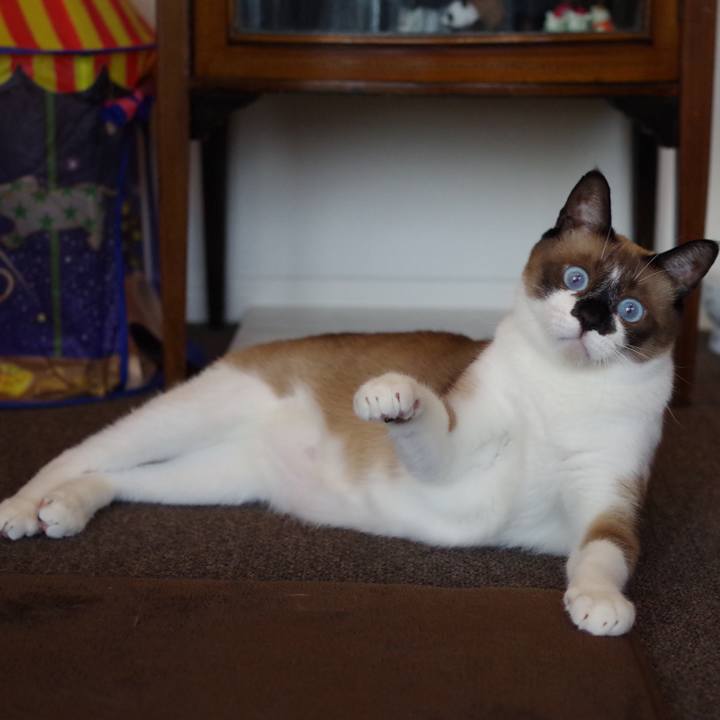 B380ae29 ecec 4db5 803a 237ea007928d