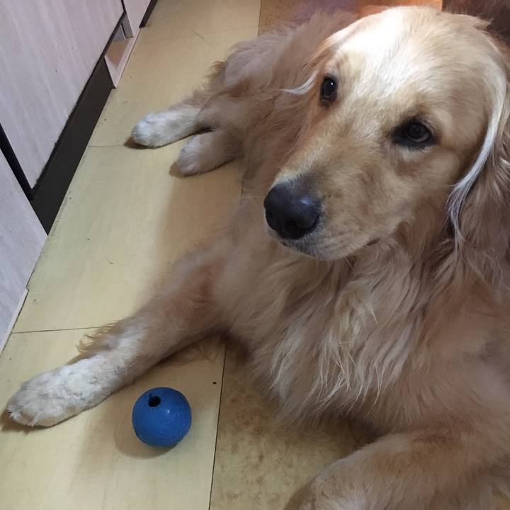 B3818fb2 263a 4e8b ab42 ae9a51dcaa7d