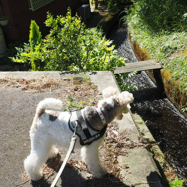 B381a24b 5d74 4f49 80c5 d132d451beb1