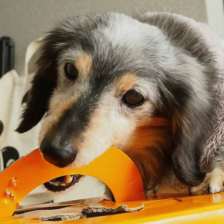 B381be60 759f 4410 ae13 e7f6b09b3a47