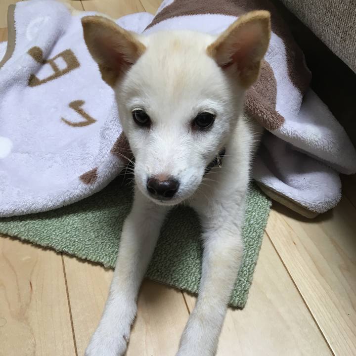 B3831e30 81f2 40c7 9903 c239b837cc6a