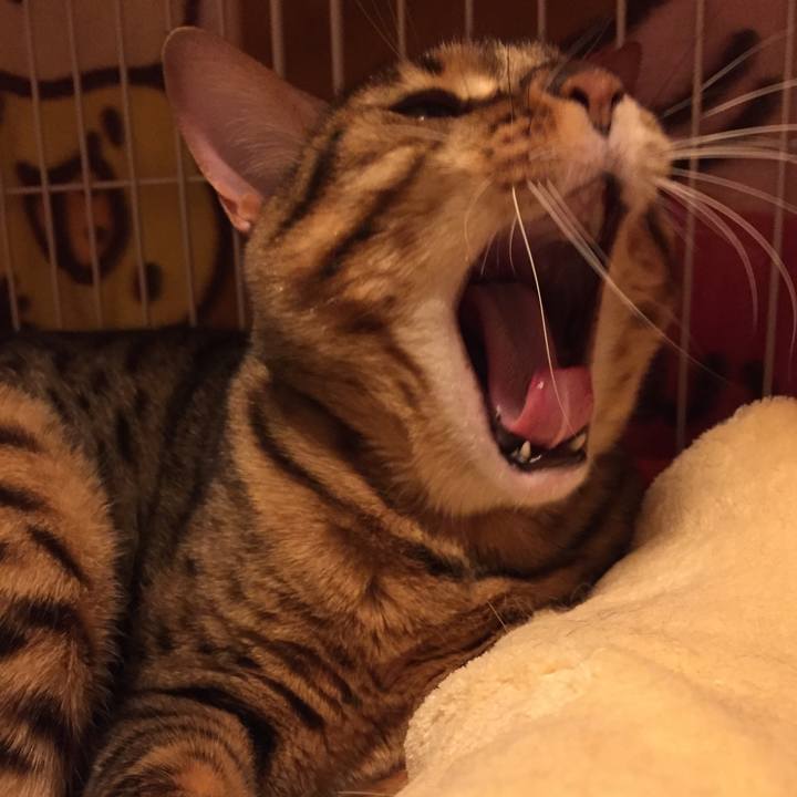 B383769c 5486 4dda a087 74c0b8fdbe66