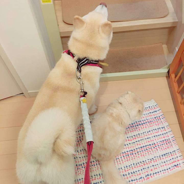 B3839278 273d 48bb a2bf d2fa139396f1