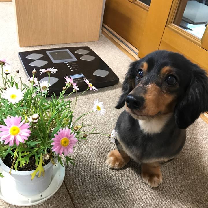 B383aa3f 94a4 44c2 a6bd b265aacd7550