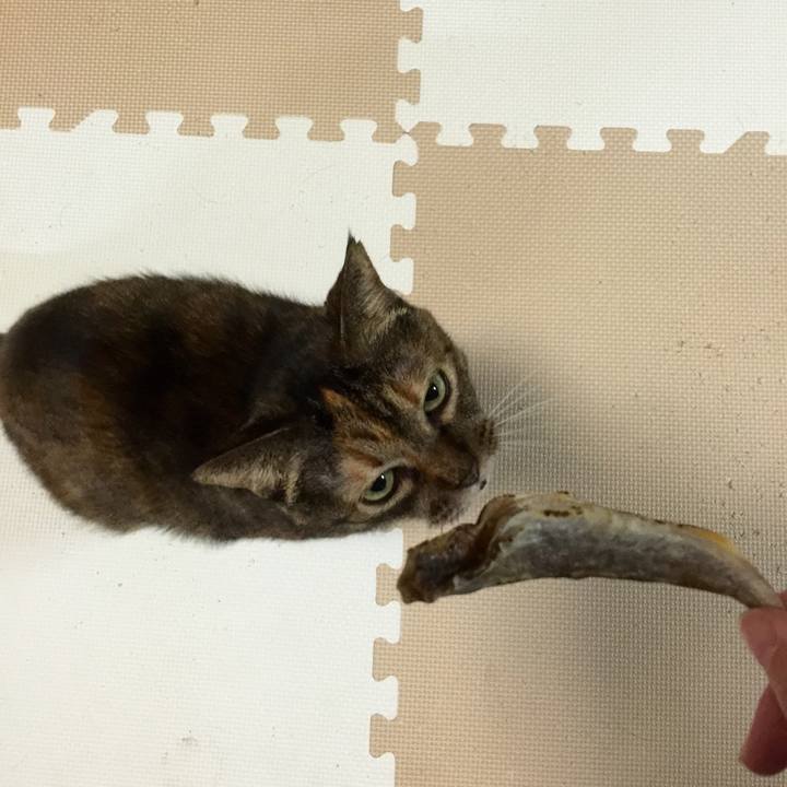 B383bb88 99ae 4003 bd05 9b9c3abc3189