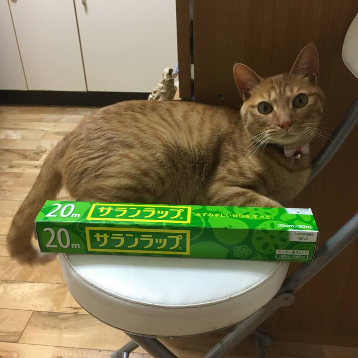 B3842bff cde0 44ae 8f8f e5163094c8ad