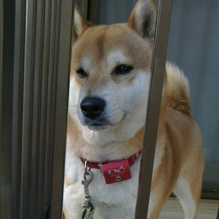 B3845fb2 6119 48e5 bc6a 1b4ade0cc11e