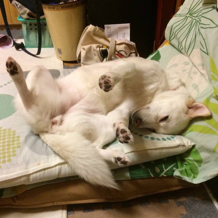 B3858ae7 8011 42b8 b5c9 cc73fc6307db