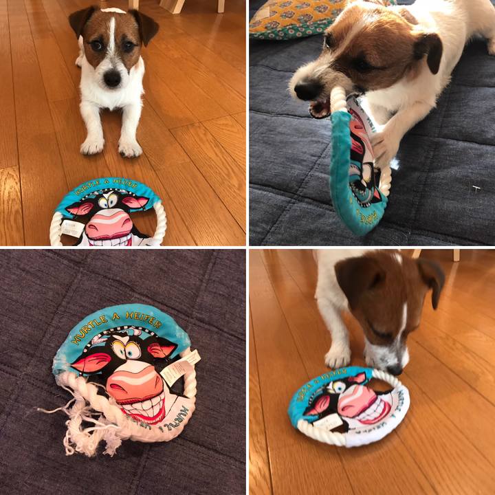 B38687e9 7ba9 488a b22b fa9e473b2655