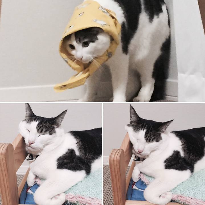 B386db7b c793 43a8 9e73 2e6e1aff5431