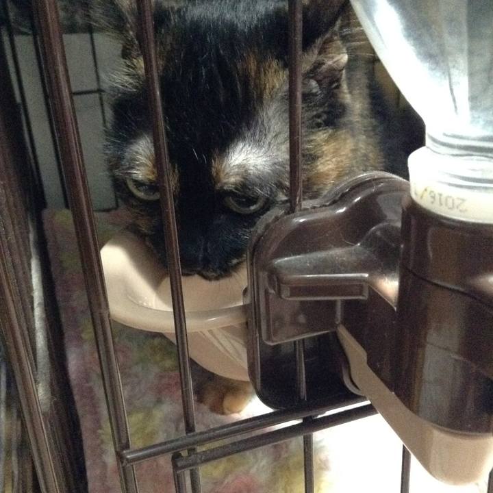 B3877803 8065 4c7e 8bdf af7b6ca743a1