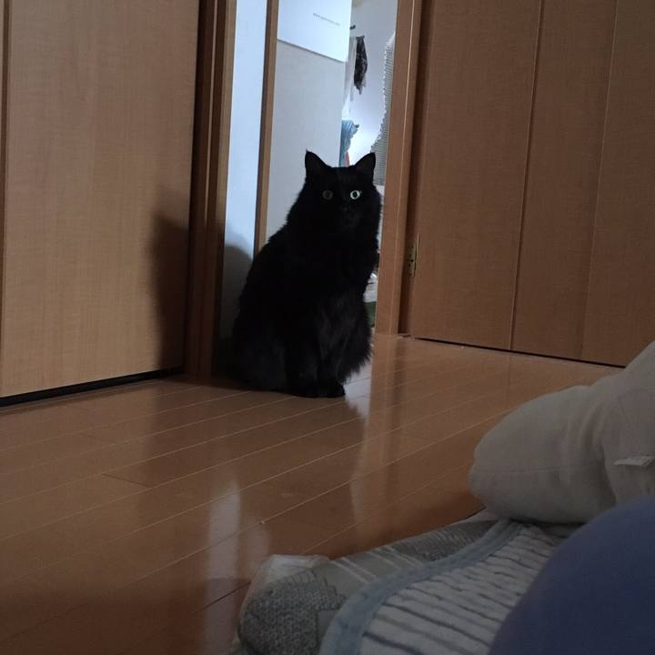 B3879953 dcba 45d8 96d3 89648ce6aa91