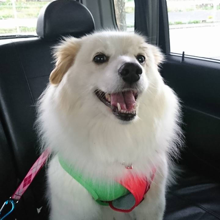 B3883f44 8b88 4c38 9d67 40a3aa550890