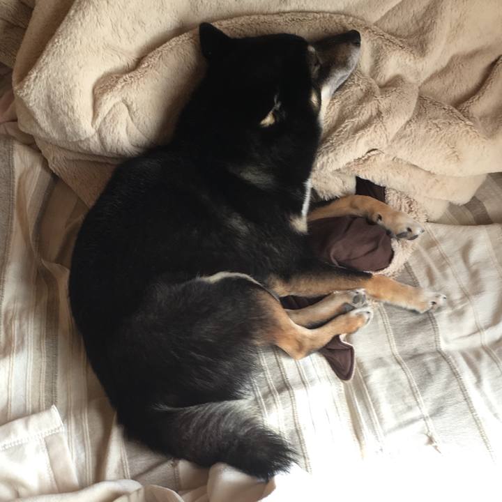 B388c1a2 48bb 4460 8127 99b57608cdbd