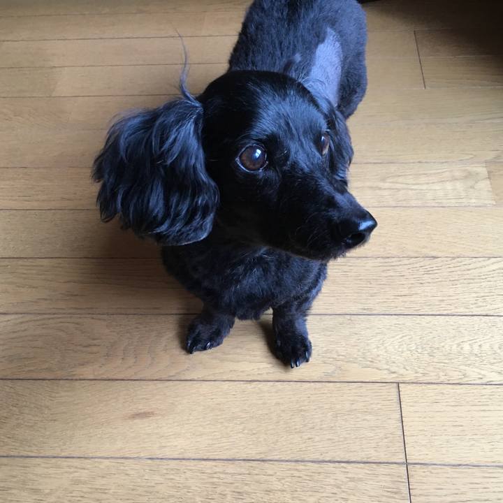 B388e6d9 9fc4 4414 ad08 87935b7a8759