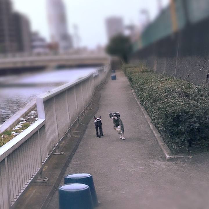 B3897912 d78a 4800 88a9 a7c1bf39a628