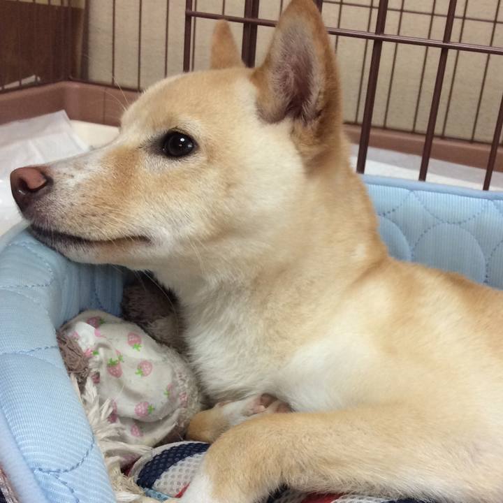 B389c3ae e5f5 45ee 88a6 161cee51cbdc