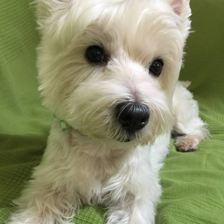 B38a36a3 4099 496e 87b7 10c77fb6e99a