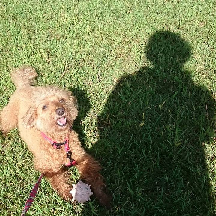 B38a5903 492d 4a2c 8b81 4b655d94d2ed