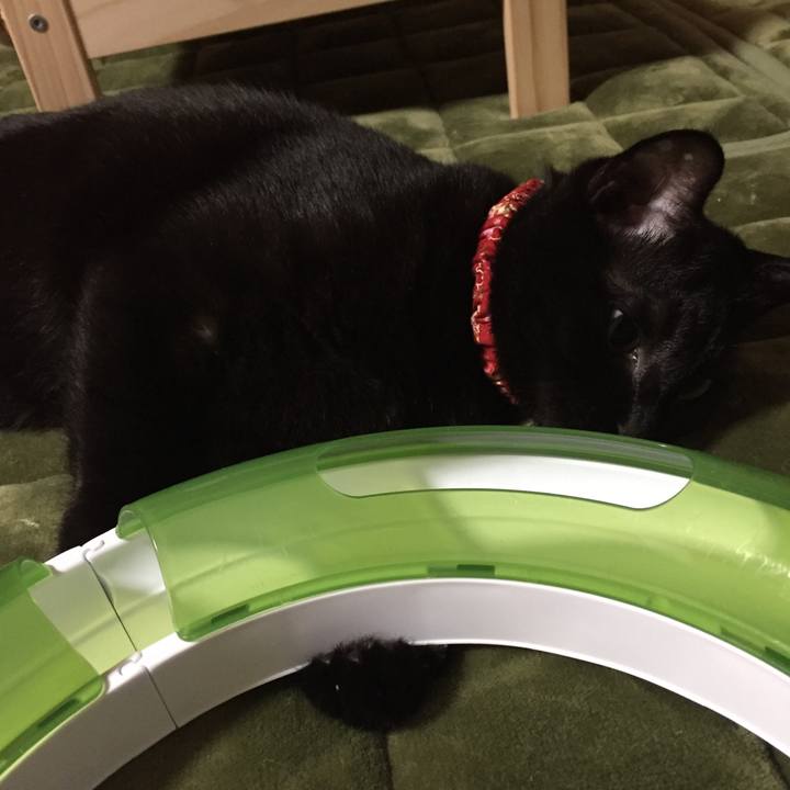 B38a60ee c5ac 4453 badd 722d3cf5bdc8