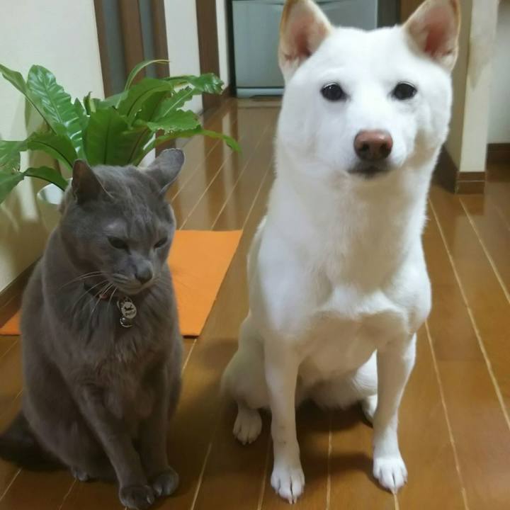 B38dcab9 aea8 45bf acf3 772bd285cbb8