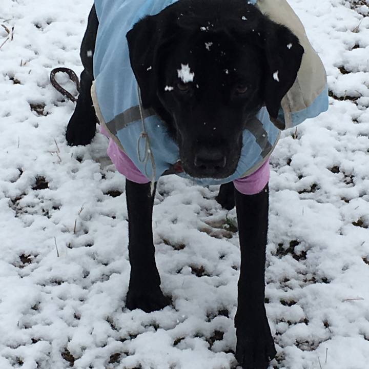 B38e663c 0644 4cfa a53e 22aa1df4ce38