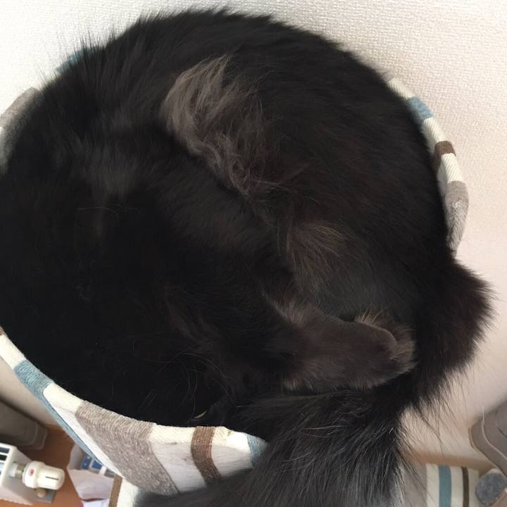 B38f59aa b599 45fe 8b45 77cb2f49828d