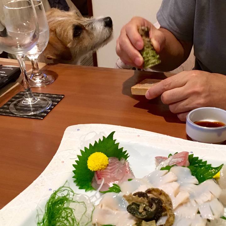 B38f619c f361 419e 85d4 1779c5f981c4