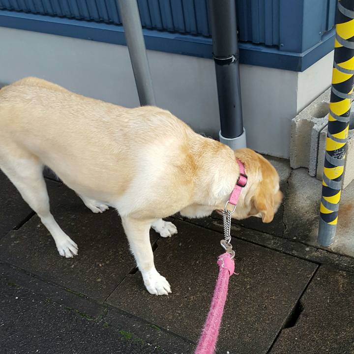 B3903917 885a 4197 bdce 167072914d13