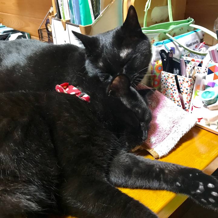 B3905ebf 25fe 4d1d b37b ecd983ea4933