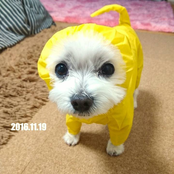 B3907a8f ad64 4e5c a6f9 627cdb611650