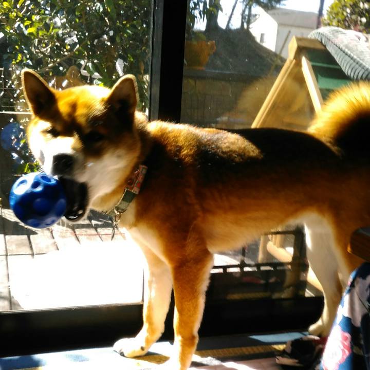 B390a591 1717 48cb add0 6ba357b89ee3