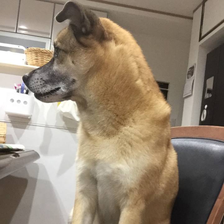 B392a478 29f3 4e96 959b e8226a7e3e92