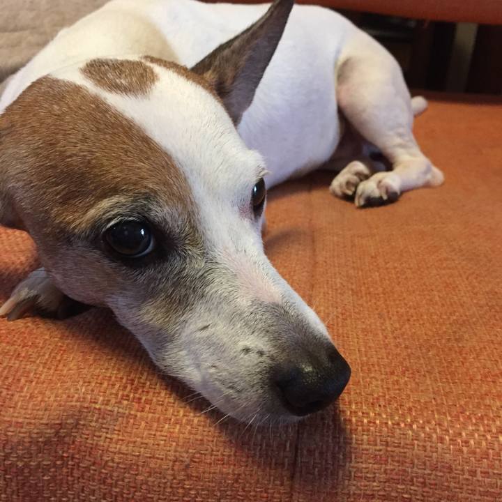 B392d4df 5a9b 4ed6 a947 f8615bff5ebf