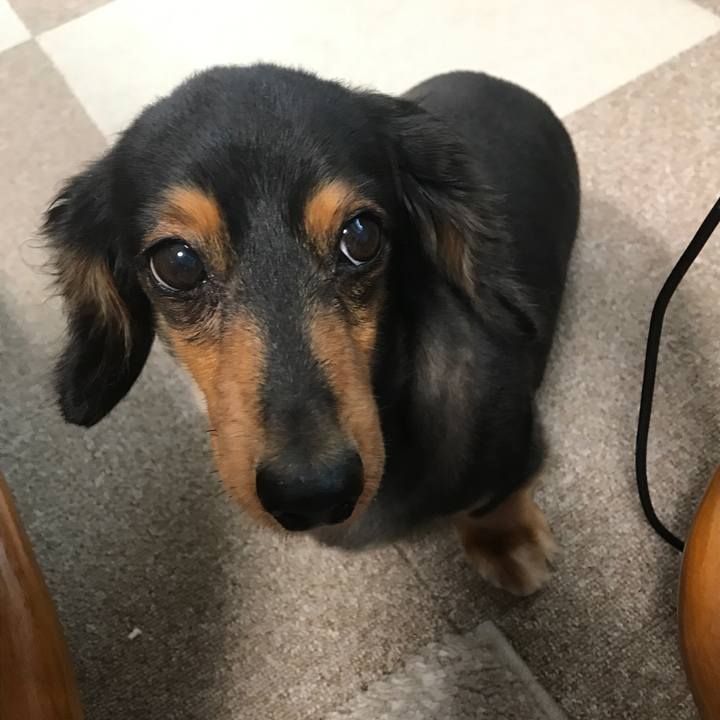 B393350d f524 4a15 9746 b5a7061b4f08