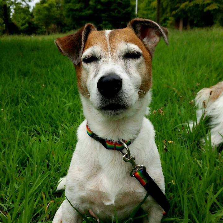 B393559e 9fe2 43b9 9c4e 3f4a39eb84f2