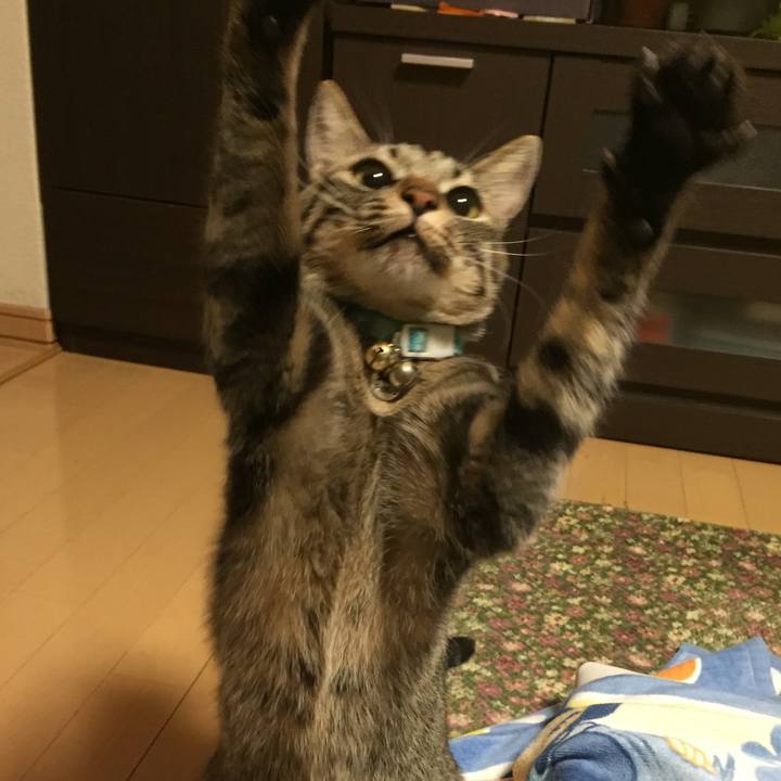 B3935bf7 aba1 43fd 9711 ea0a12477226