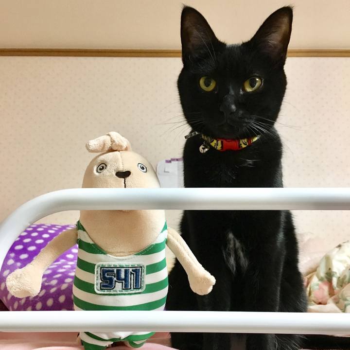 B393f3eb 9056 4d74 afee d28487dda8f0