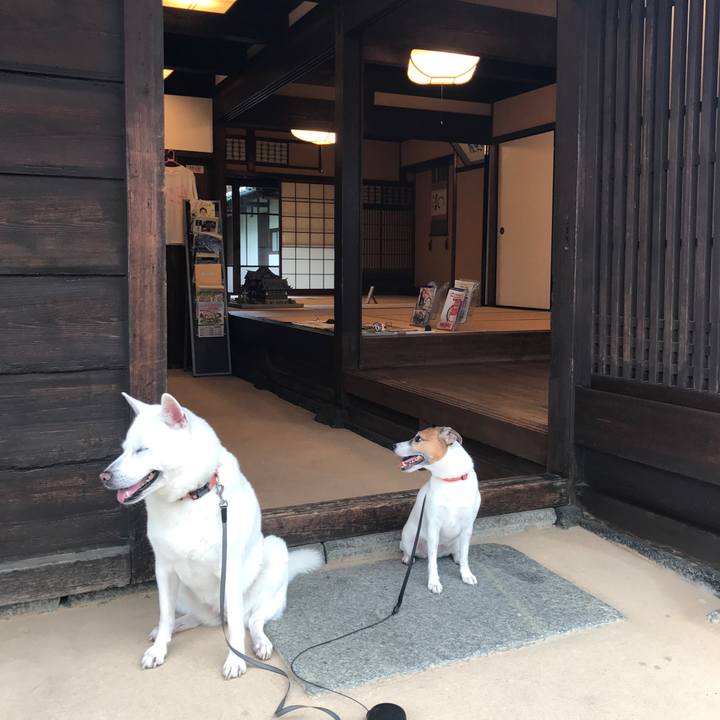 B39418f2 4e51 4663 9d09 61dd52dfe6b1