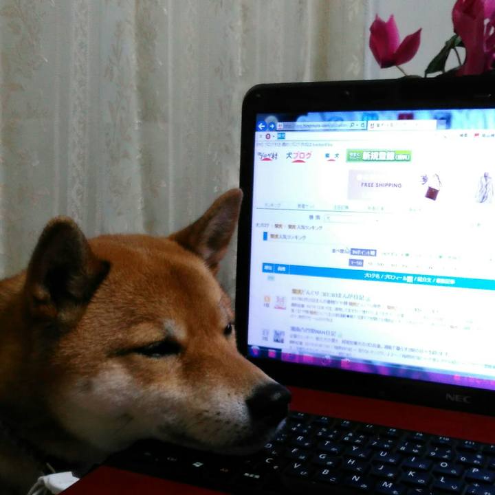 B394556e 6ad6 4244 9446 9dc987490909